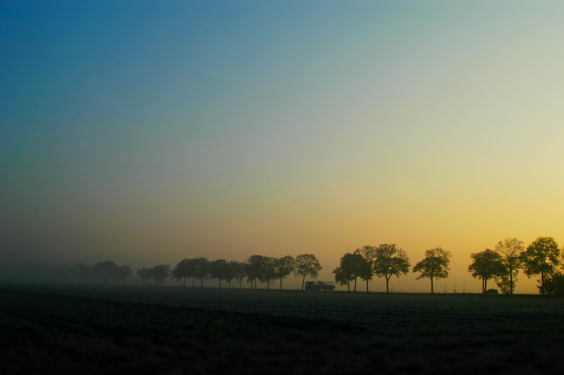 Foggy_Dutch_road